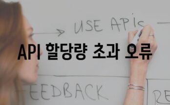 API 할당량 초과 오류