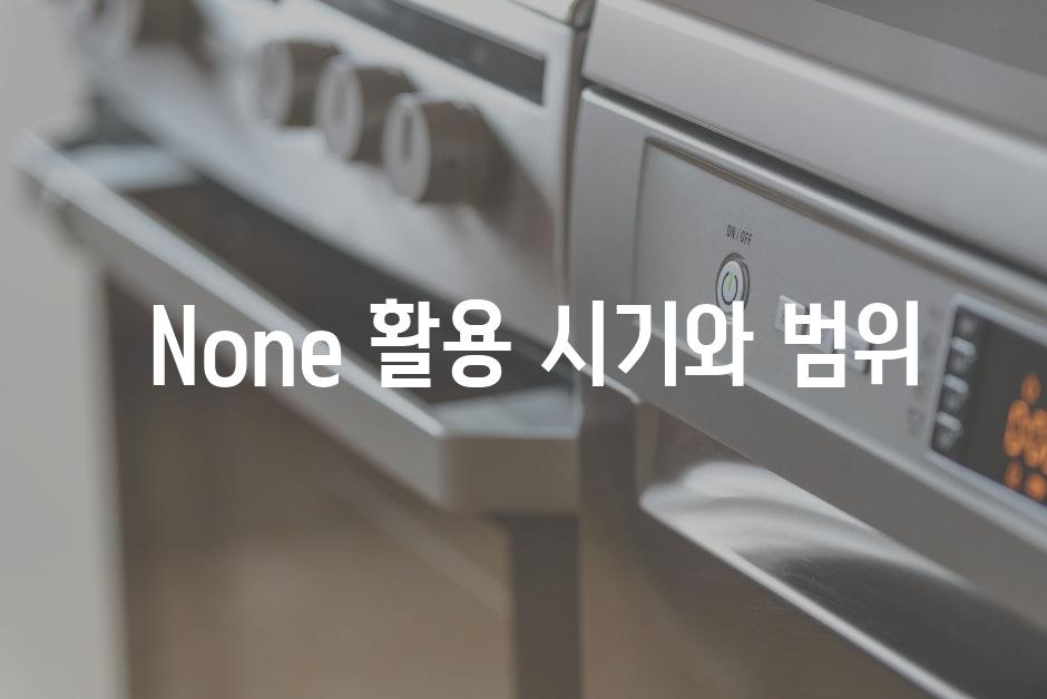  None 활용 시기와 범위