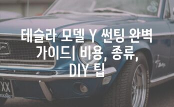 테슬라 모델 Y 썬팅 완벽 가이드| 비용, 종류, DIY 팁