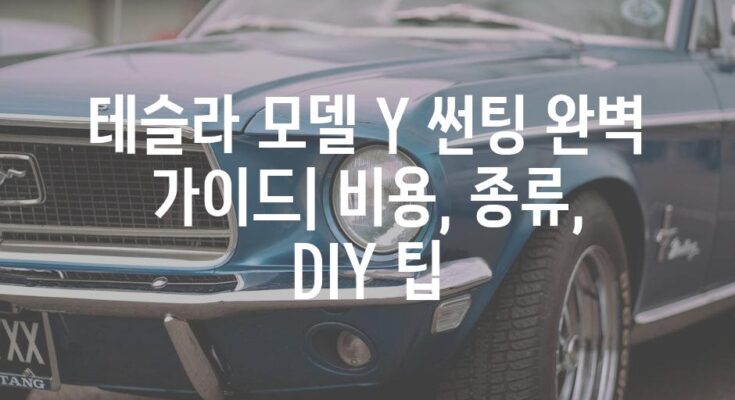 테슬라 모델 Y 썬팅 완벽 가이드| 비용, 종류, DIY 팁