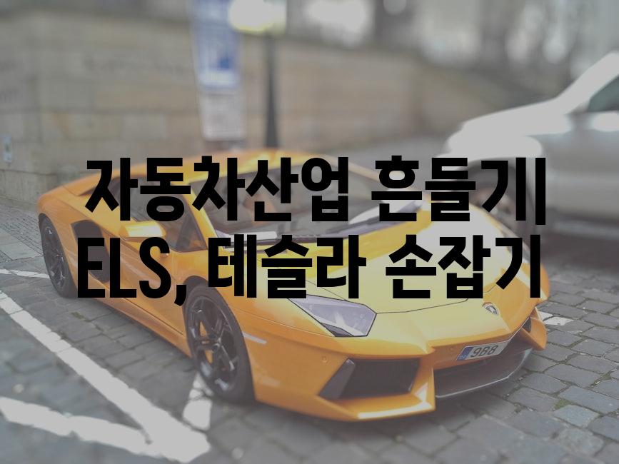  자동차산업 흔들기| ELS, 테슬라 손잡기