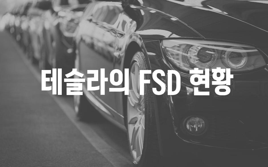  테슬라의 FSD 현황