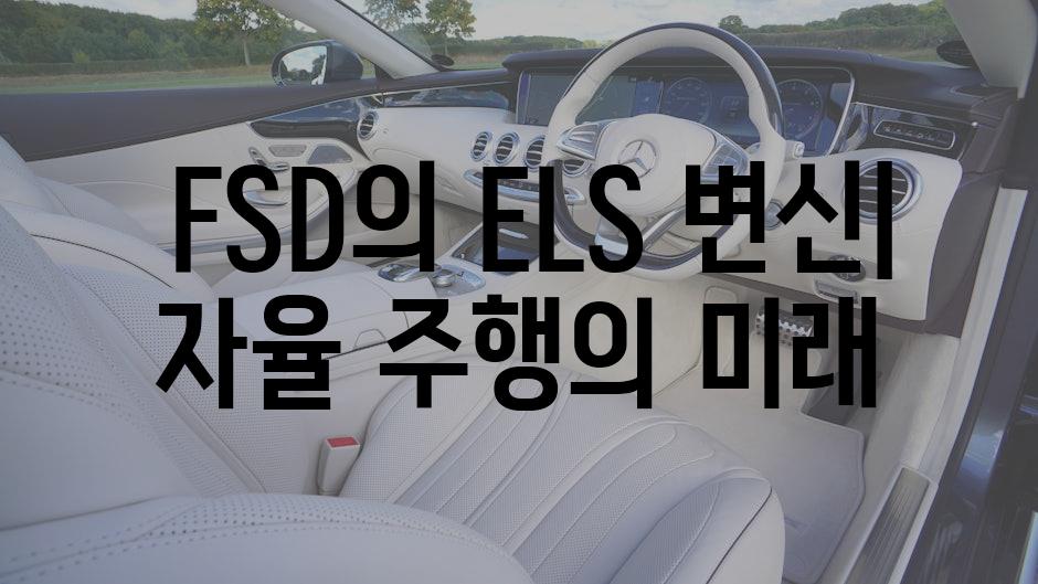  FSD의 ELS 변신| 자율 주행의 미래