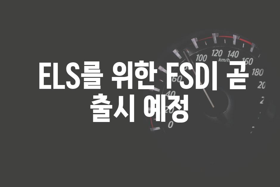  ELS를 위한 FSD| 곧 출시 예정