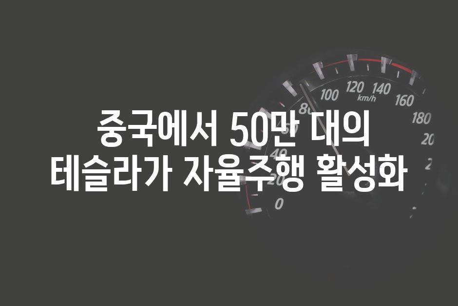  중국에서 50만 대의 테슬라가 자율주행 활성화