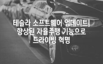 테슬라 소프트웨어 업데이트| 향상된 자율주행 기능으로 드라이빙 혁명