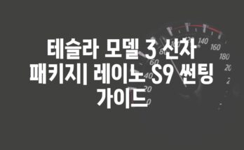 테슬라 모델 3 신차 패키지| 레이노 S9 썬팅 가이드