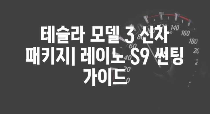 테슬라 모델 3 신차 패키지| 레이노 S9 썬팅 가이드