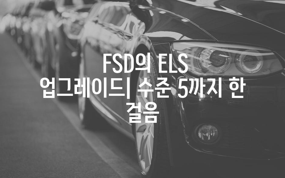  FSD의 ELS 업그레이드| 수준 5까지 한 걸음