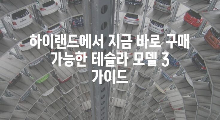 하이랜드에서 지금 바로 구매 가능한 테슬라 모델 3 가이드