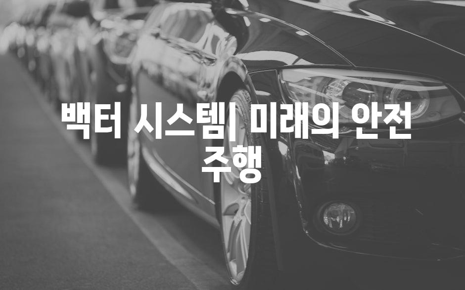  백터 시스템| 미래의 안전 주행