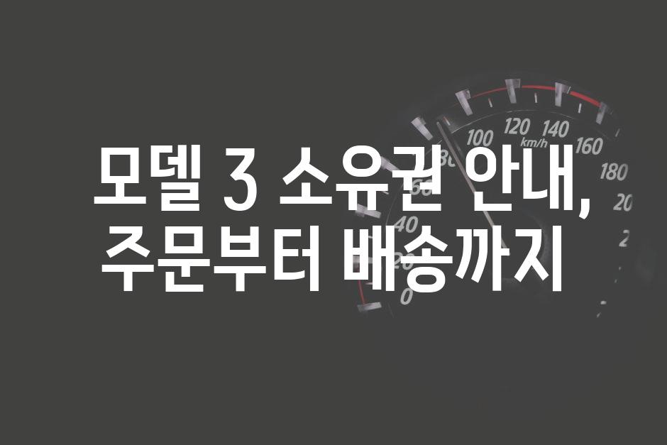  모델 3 소유권 안내, 주문부터 배송까지