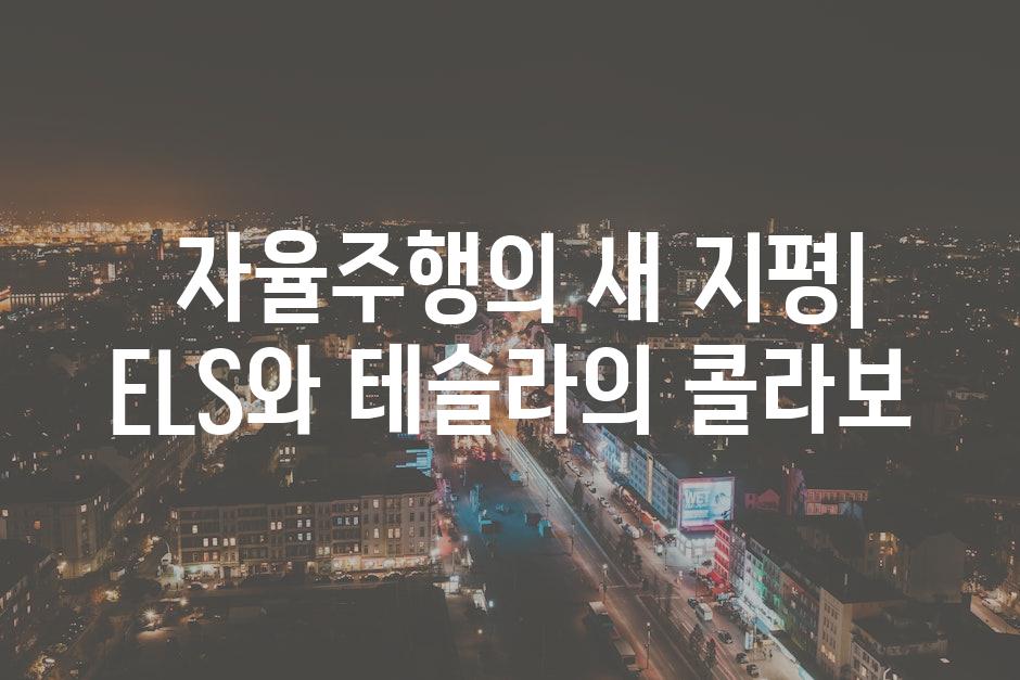  자율주행의 새 지평| ELS와 테슬라의 콜라보