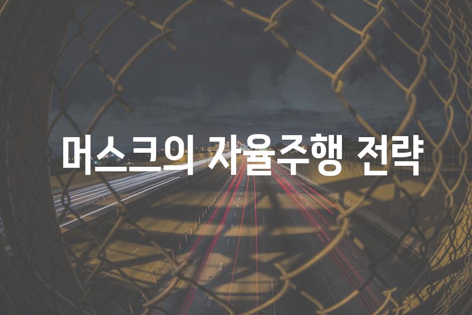  머스크의 자율주행 전략