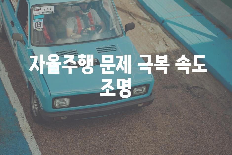  자율주행 문제 극복 속도 조명