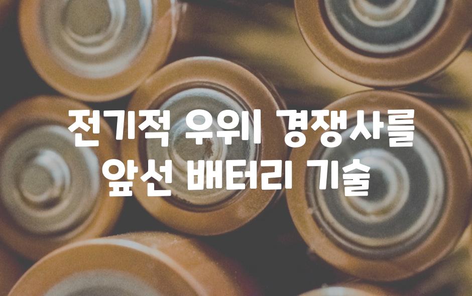  전기적 우위| 경쟁사를 앞선 배터리 기술