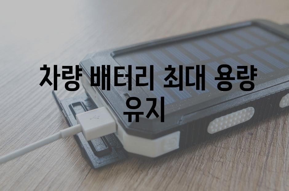  차량 배터리 최대 용량 유지