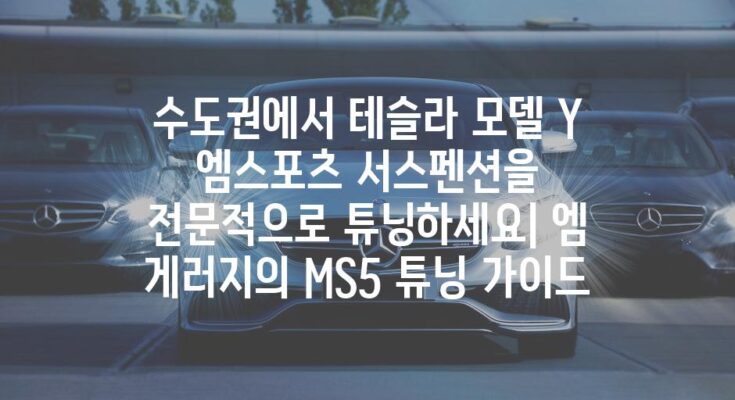 수도권에서 테슬라 모델 Y 엠스포츠 서스펜션을 전문적으로 튜닝하세요| 엠 게러지의 MS5 튜닝 가이드