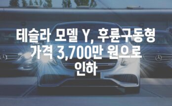 테슬라 모델 Y, 후륜구동형 가격 3,700만 원으로 인하
