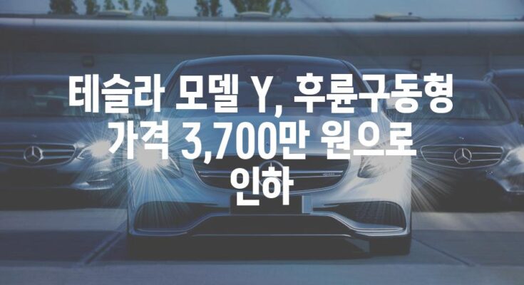 테슬라 모델 Y, 후륜구동형 가격 3,700만 원으로 인하