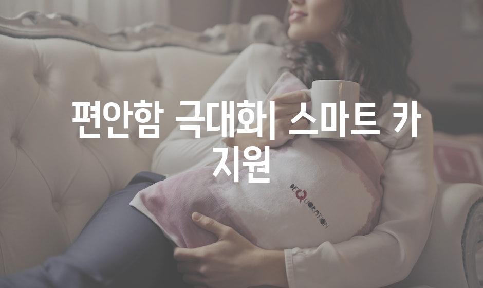  편안함 극대화| 스마트 카 지원