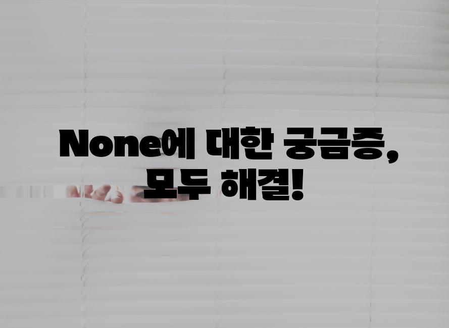  None에 대한 궁금증, 모두 해결!