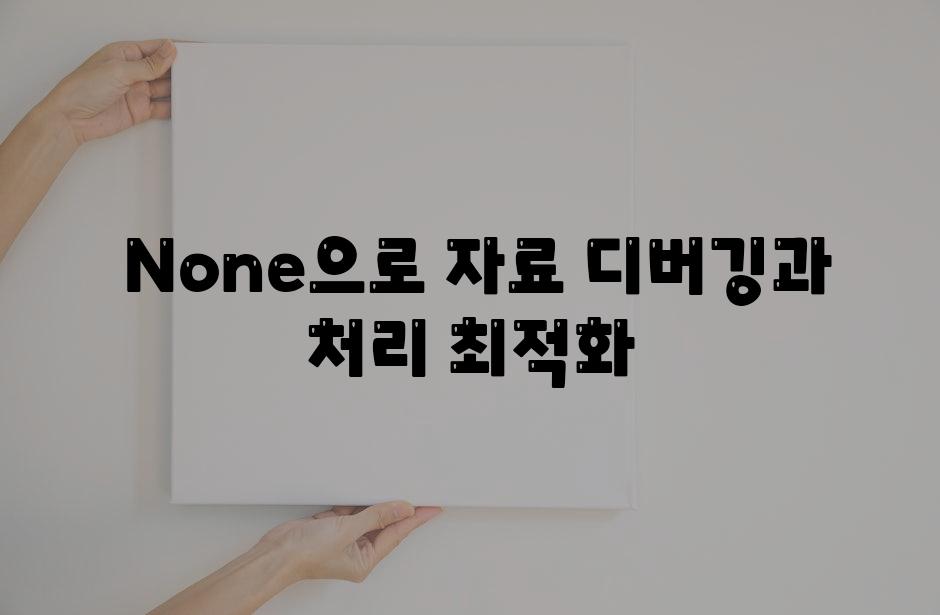 None으로 자료 디버깅과 처리 최적화