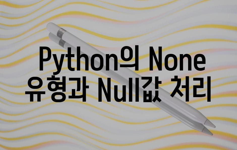  Python의 None 유형과 Null값 처리