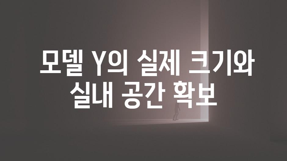  모델 Y의 실제 크기와 실내 공간 확보