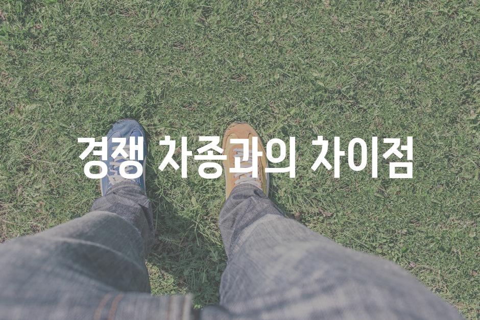  경쟁 차종과의 차이점