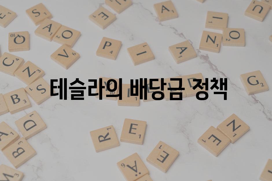 테슬라의 배당금 정책