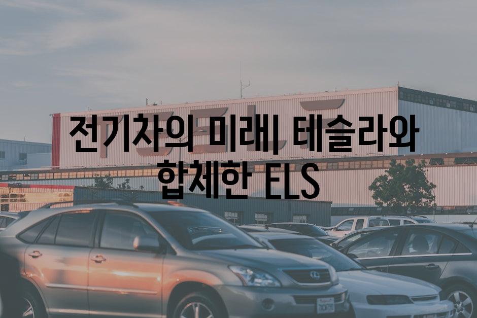  전기차의 미래| 테슬라와 합체한 ELS