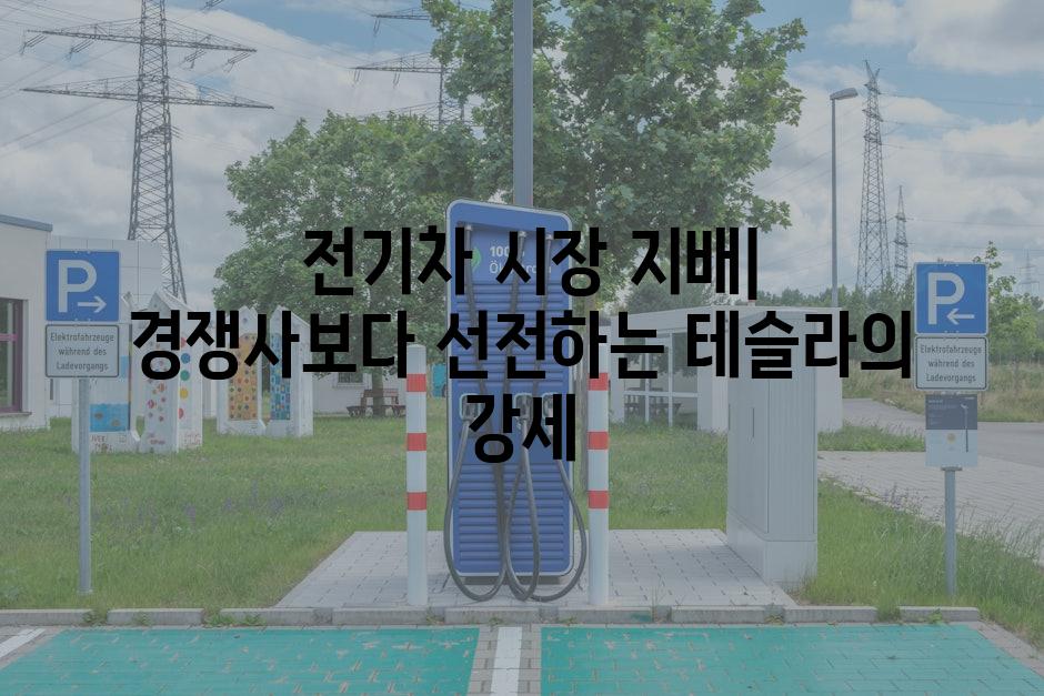  전기차 시장 지배| 경쟁사보다 선전하는 테슬라의 강세