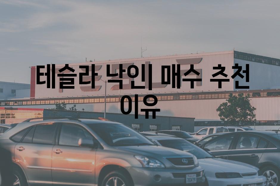  테슬라 낙인| 매수 추천 이유