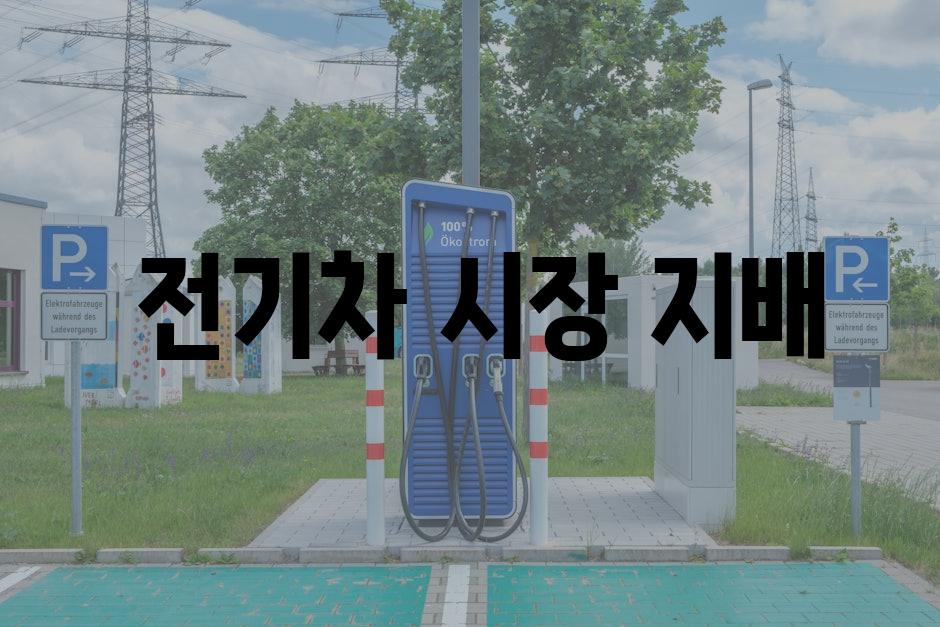 전기차 시장 지배