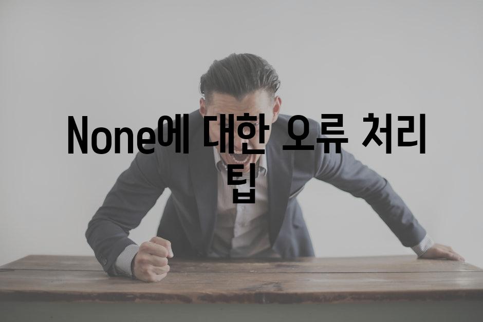  None에 대한 오류 처리 팁