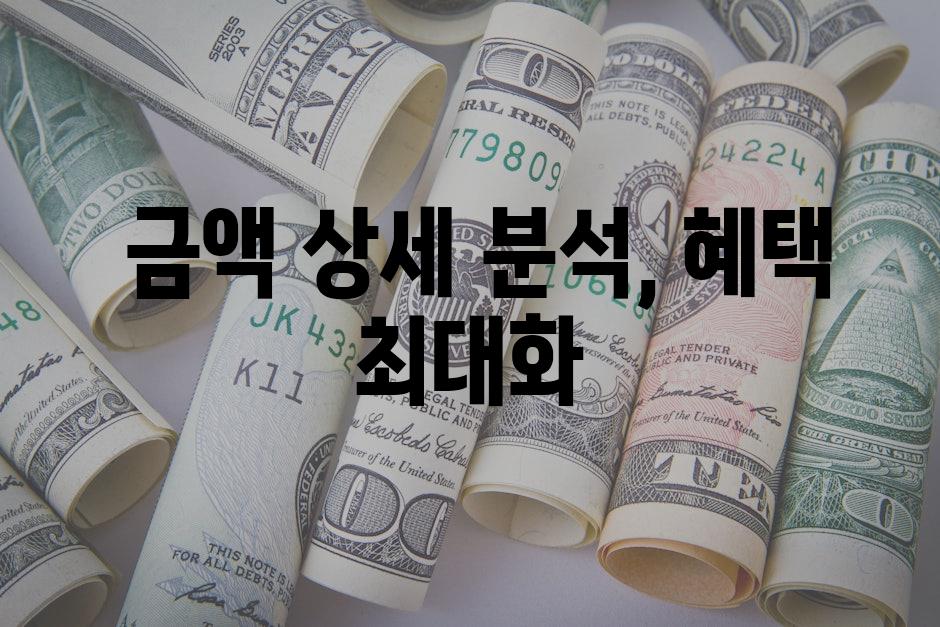  금액 상세 분석, 혜택 최대화