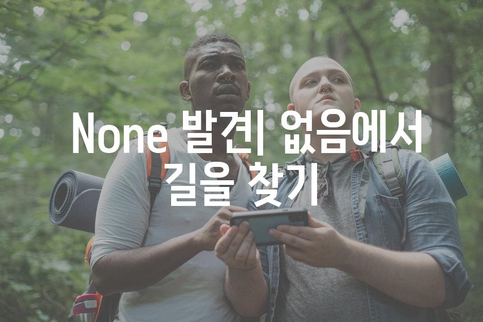  None 발견| 없음에서 길을 찾기