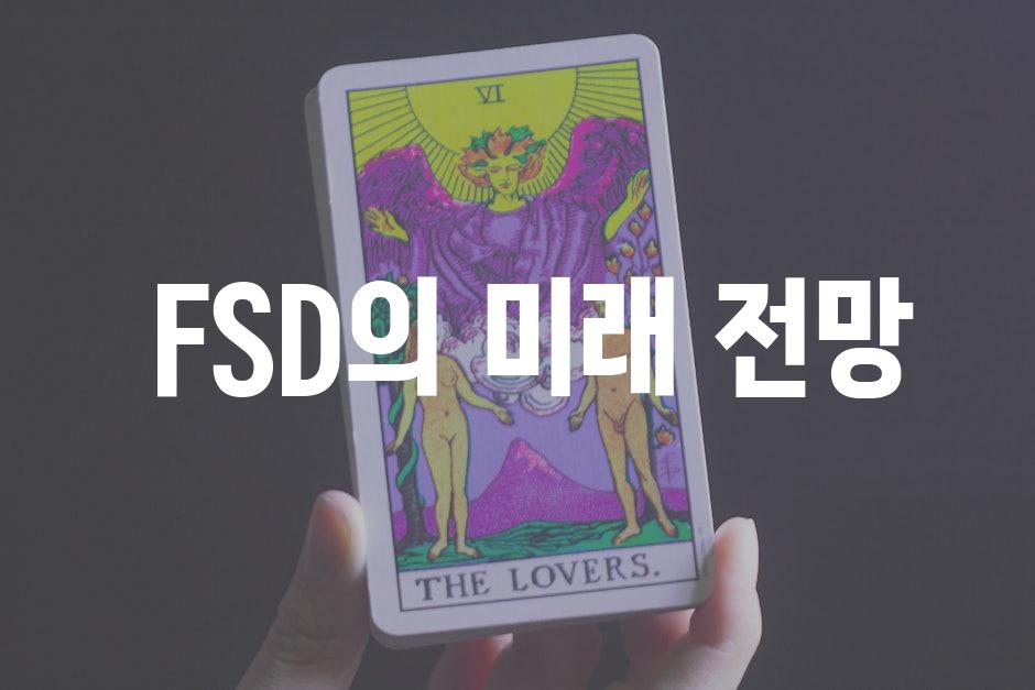  FSD의 미래 전망