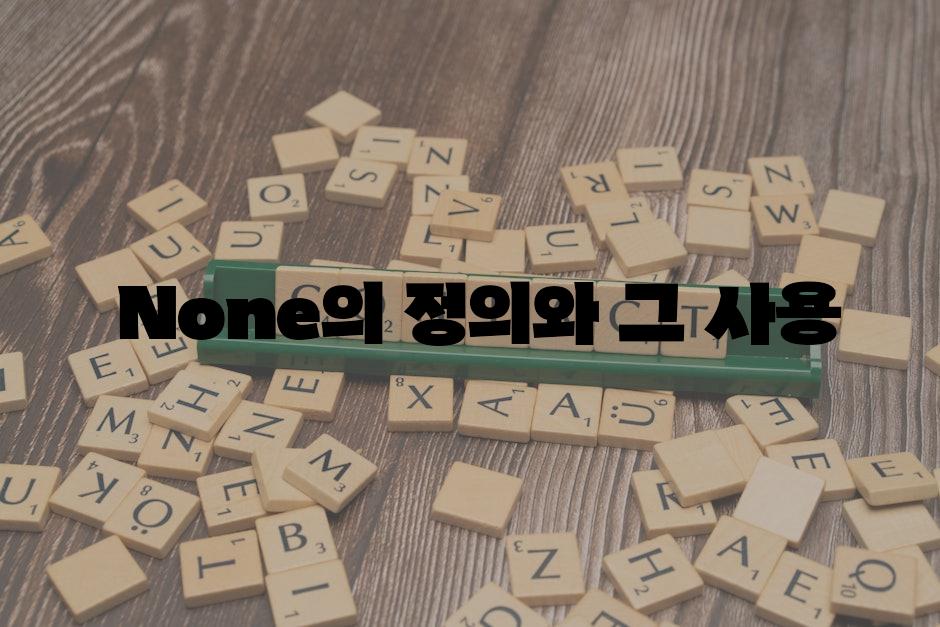  None의 정의와 그 사용