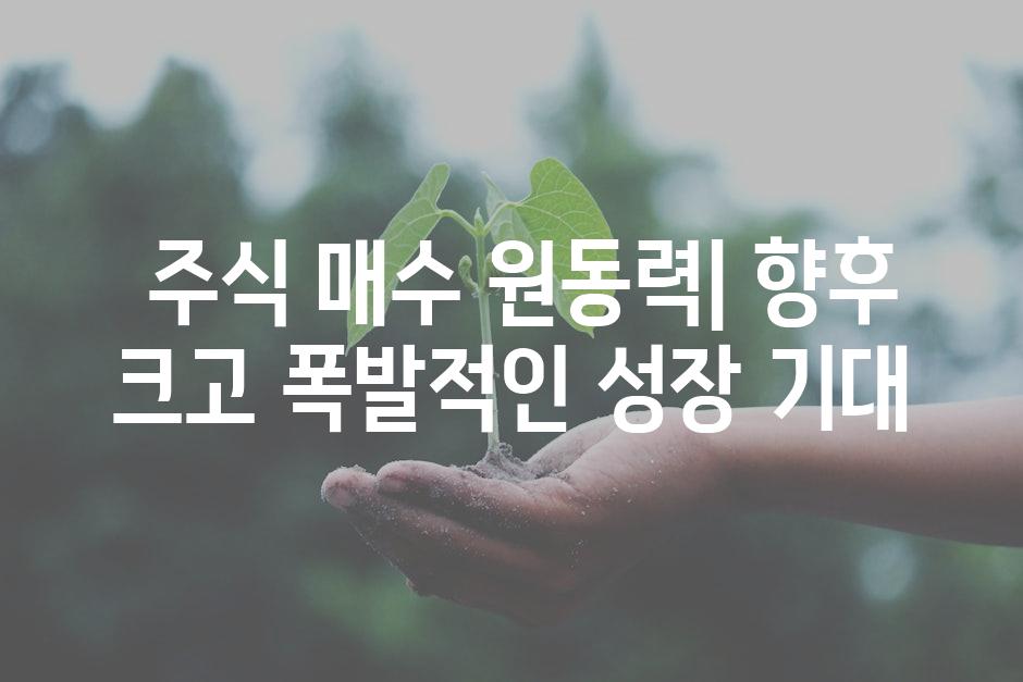  주식 매수 원동력| 향후 크고 폭발적인 성장 기대