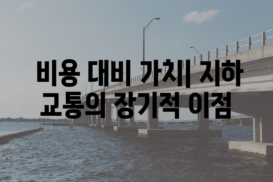  비용 대비 가치| 지하 교통의 장기적 이점