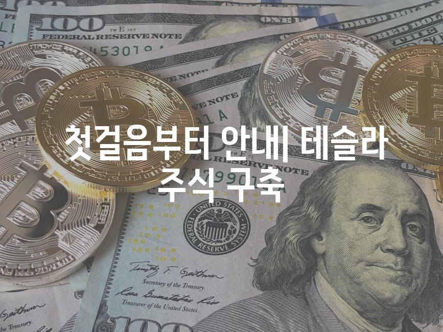  첫걸음부터 안내| 테슬라 주식 구축