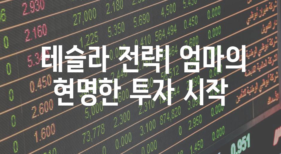  테슬라 전략| 엄마의 현명한 투자 시작