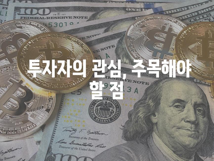 투자자의 관심, 주목해야 할 점