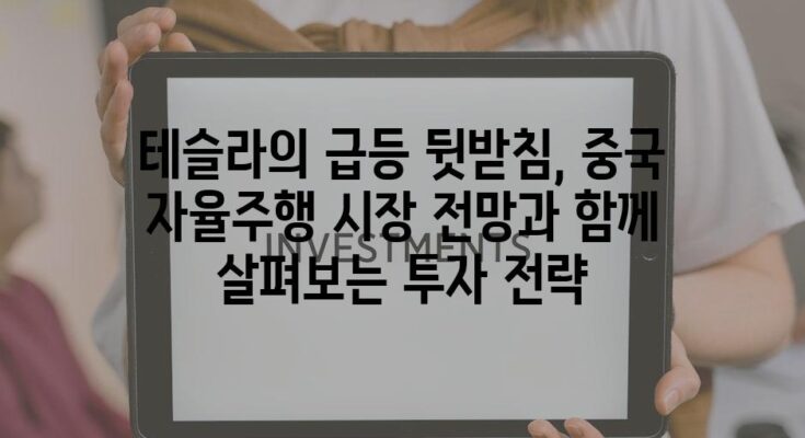 테슬라의 급등 뒷받침, 중국 자율주행 시장 전망과 함께 살펴보는 투자 전략