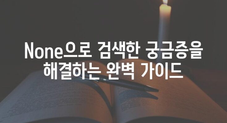 None으로 검색한 궁금증을 해결하는 완벽 가이드