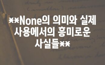 **None의 의미와 실제 사용에서의 흥미로운 사실들**