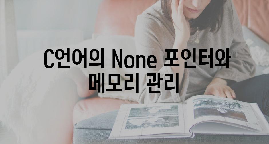  C언어의 None 포인터와 메모리 관리