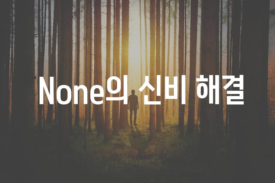  None의 신비 해결